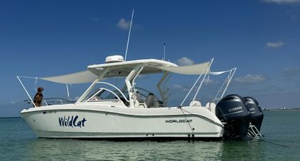 25' World Cat 2021