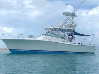 39' Luhrs 2008