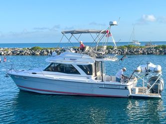 38' Cutwater 2022