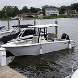 Sea Pro 239 DLX