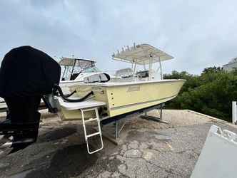 31' Jupiter 2006