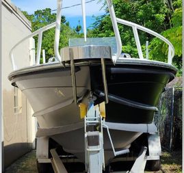 Viper Boats 33CC