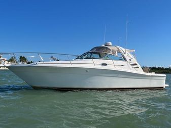 Sea Ray 340 Amberjack