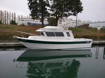 Sea Sport Explorer