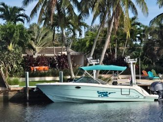 31' Robalo 2022