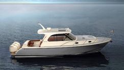 Sea Ray SPX 210
