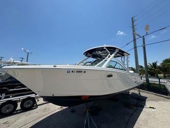 31' Robalo 2021