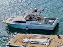 Custom 36 express