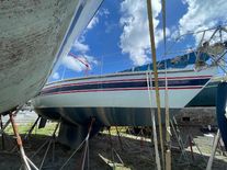 Custom MANGAREVA 38