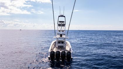 39' Seavee 2019