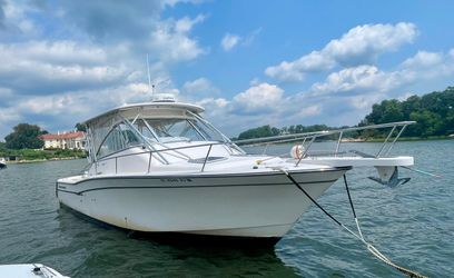 33' Grady-white 2009