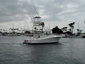 41' Luhrs 2007