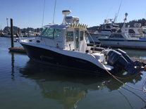 Seaswirl Striper 2901 Walkaround O/B
