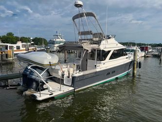 32' Cutwater 2021