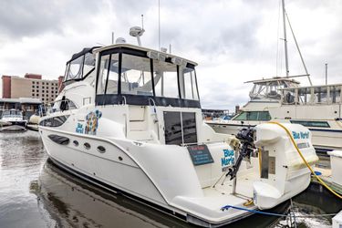 45' Meridian 2004