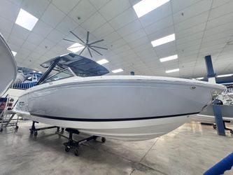 33' Cobalt 2025