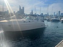 Rinker Fiesta Vee 342
