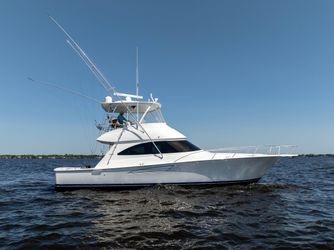 48' Viking 2019