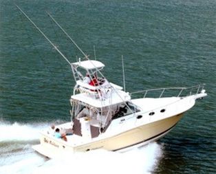 Wellcraft 330 Coastal