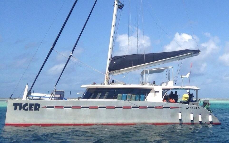 bay catamaran for sale