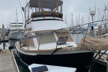 Island Gypsy Trawler Fly Bridge
