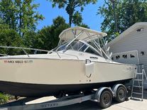 Albemarle 248 Express Fisherman