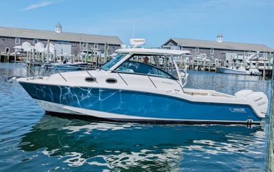 31' Boston Whaler 2017