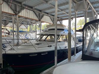 30' Cutwater 2015