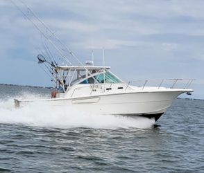 38' Rampage 2000