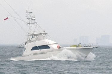 54' Bertram 2001