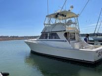 Viking 41