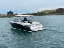 Cobalt 296