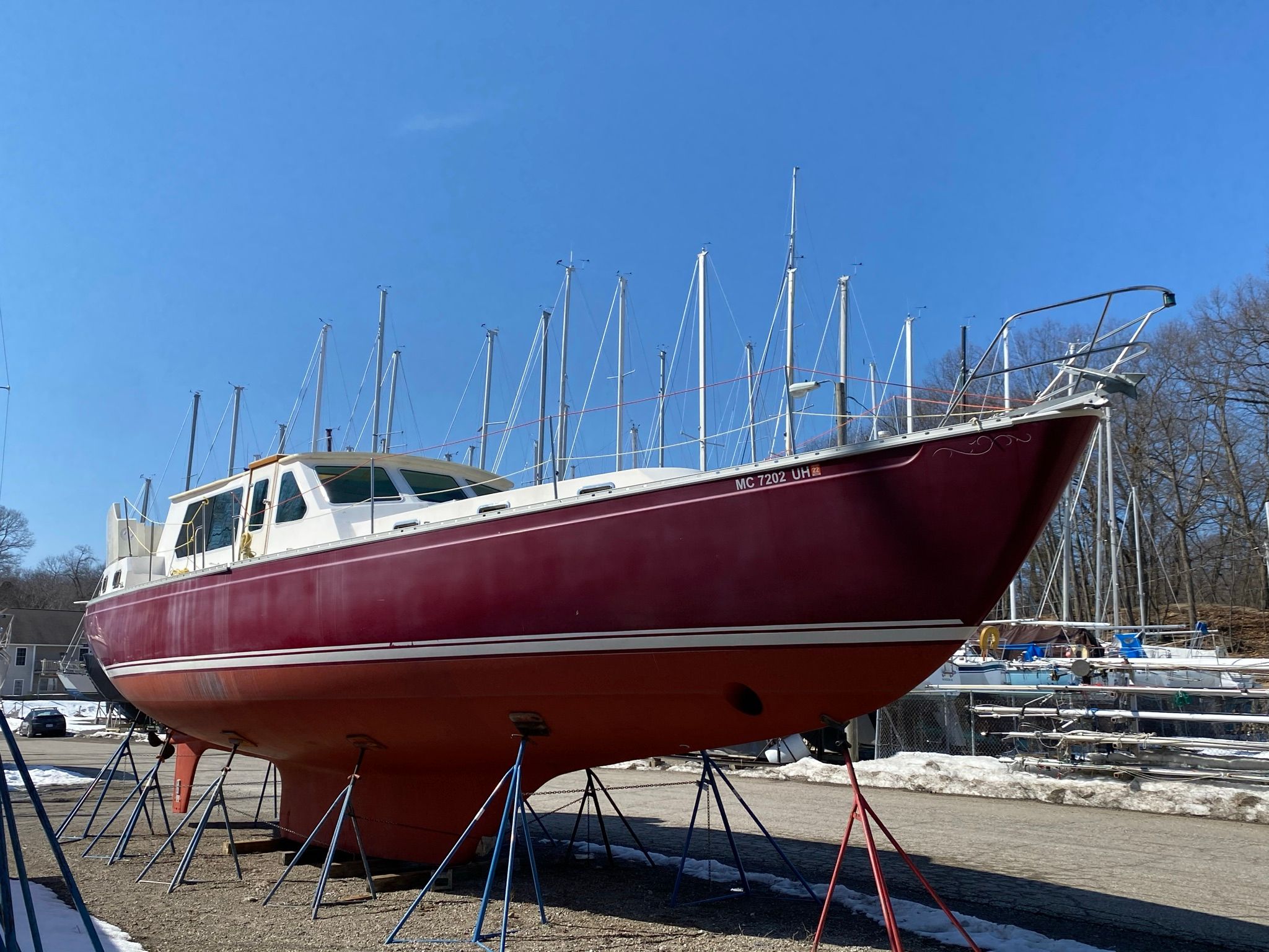 shannon sailboat review