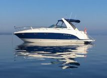 Chaparral 350 Signature