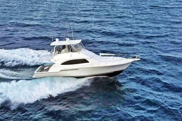 51' Bertram 2004