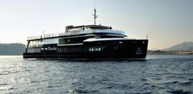 Custom Passenger Cruise Ship