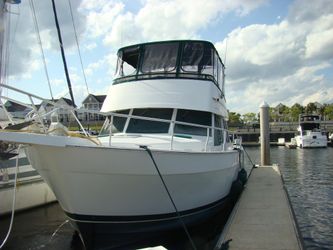43' Mainship 2001