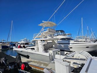 42' Boston Whaler 2017