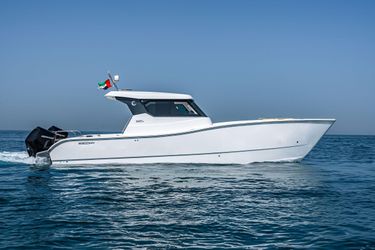 34' Silvercat 2026