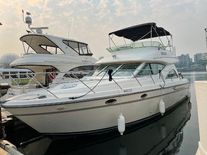 Maxum 4100 SCB