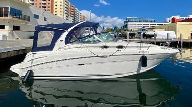Sea Ray 300 Sundancer