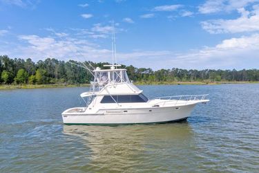 42' Bertram 1981
