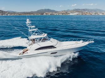 64' Bertram 2013