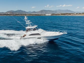 64' Bertram 2013