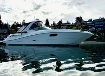 35' Sea Ray 2011