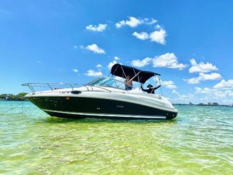 Sea Ray 240 Sundancer