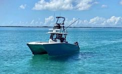 Freeman 34 Catamaran