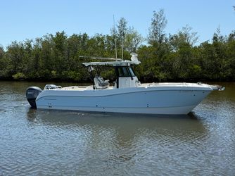 32' World Cat 2022