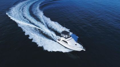 39' Bertram 2001
