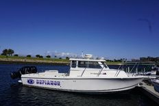 Defiance Guadalupe 290 EX